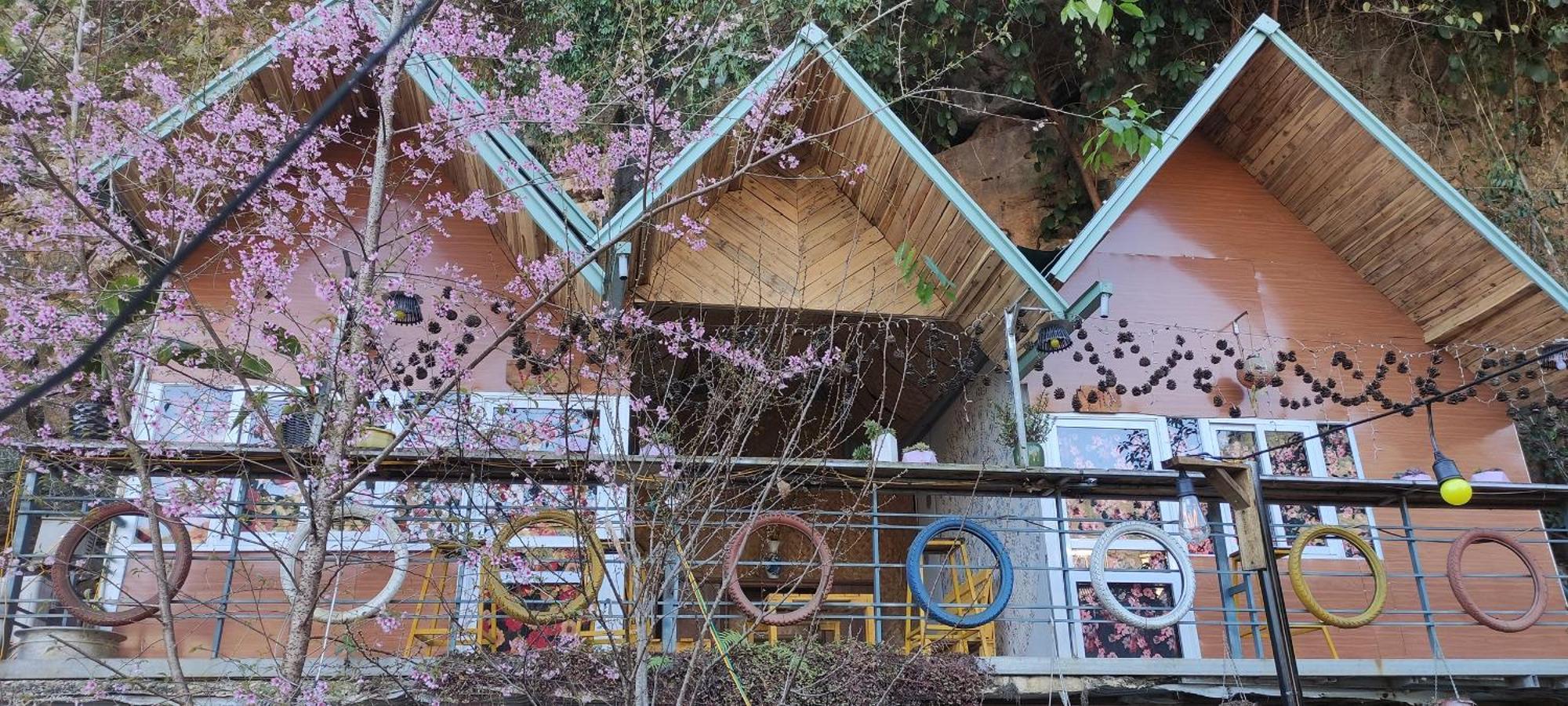 Homestay Gau Smile - Moc Chau Son La Экстерьер фото